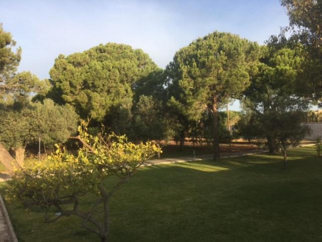 Villa Torrealta, 4000 M2 Cadiz Luaran gambar