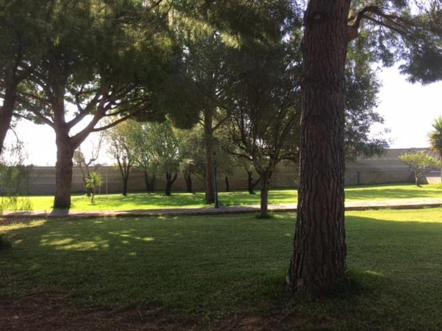 Villa Torrealta, 4000 M2 Cadiz Luaran gambar