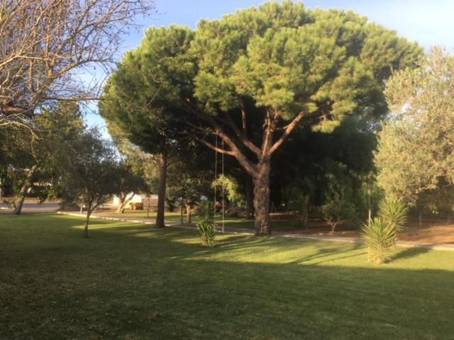 Villa Torrealta, 4000 M2 Cadiz Luaran gambar