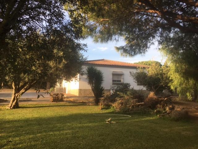 Villa Torrealta, 4000 M2 Cadiz Luaran gambar